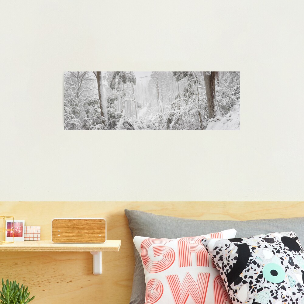 Snowy Trees, Alpine National Park, Victoria, Australia Photographic Print