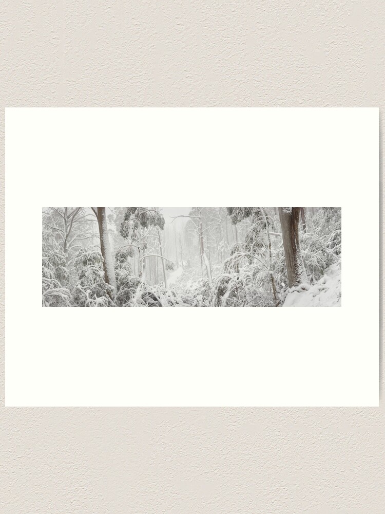 Thumbnail 2 of 3, Art Print, Snowy Trees, Alpine National Park, Victoria, Australia designed and sold by Michael Boniwell.