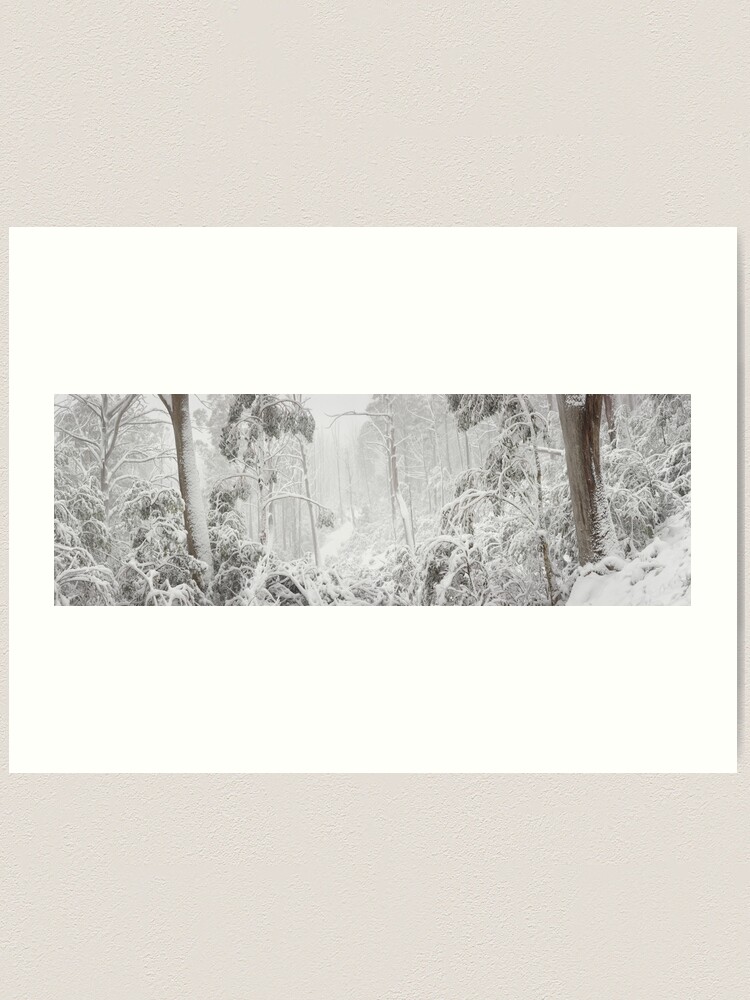 Thumbnail 2 of 3, Art Print, Snowy Trees, Alpine National Park, Victoria, Australia designed and sold by Michael Boniwell.