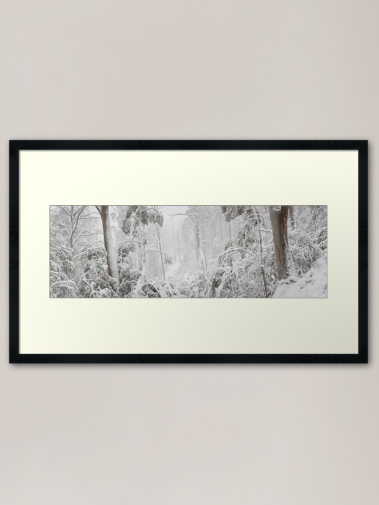 Thumbnail 2 of 7, Framed Art Print, Snowy Trees, Alpine National Park, Victoria, Australia designed and sold by Michael Boniwell.