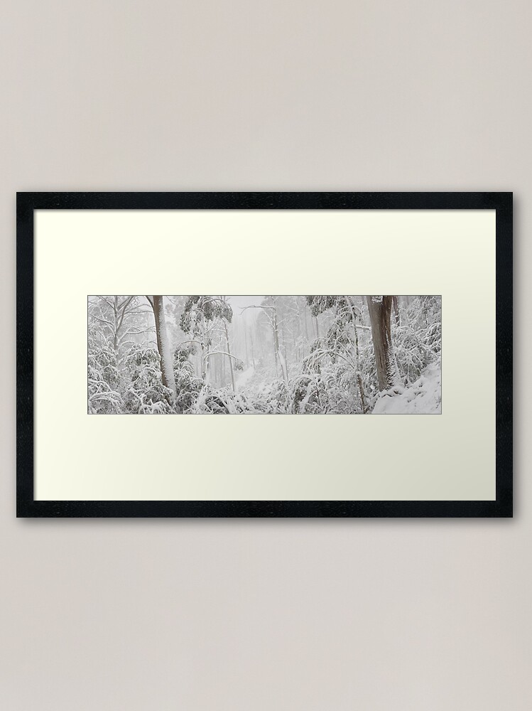 Thumbnail 2 of 7, Framed Art Print, Snowy Trees, Alpine National Park, Victoria, Australia designed and sold by Michael Boniwell.