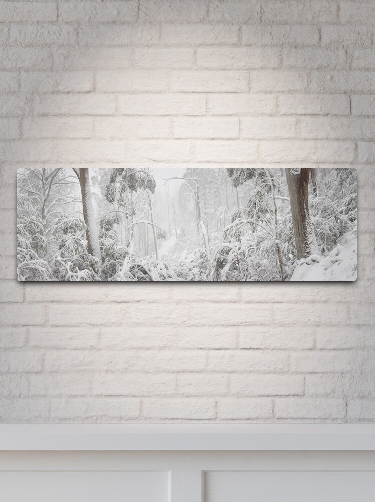 Metal Print, Snowy Trees, Alpine National Park, Victoria, Australia designed and sold by Michael Boniwell