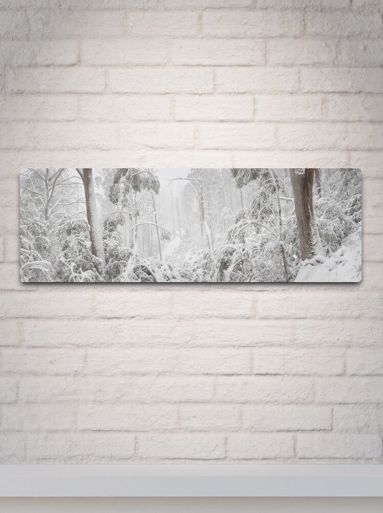 Thumbnail 2 of 4, Metal Print, Snowy Trees, Alpine National Park, Victoria, Australia designed and sold by Michael Boniwell.