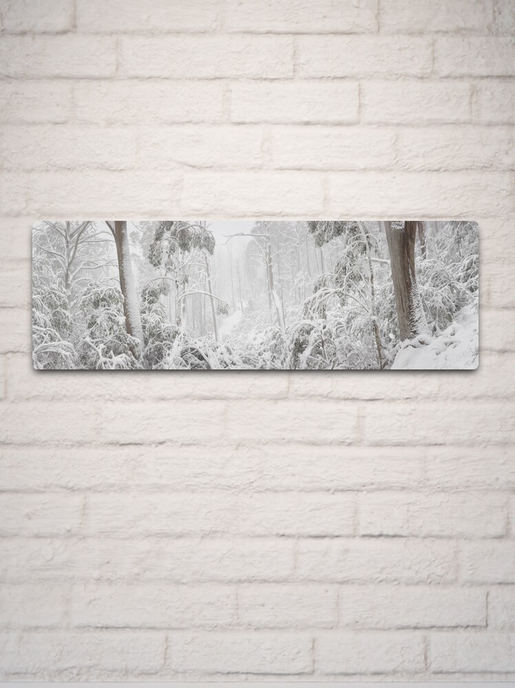 Thumbnail 2 of 4, Metal Print, Snowy Trees, Alpine National Park, Victoria, Australia designed and sold by Michael Boniwell.