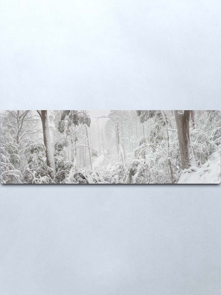 Alternate view of Snowy Trees, Alpine National Park, Victoria, Australia Metal Print