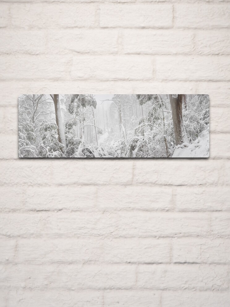 Thumbnail 2 of 4, Metal Print, Snowy Trees, Alpine National Park, Victoria, Australia designed and sold by Michael Boniwell.