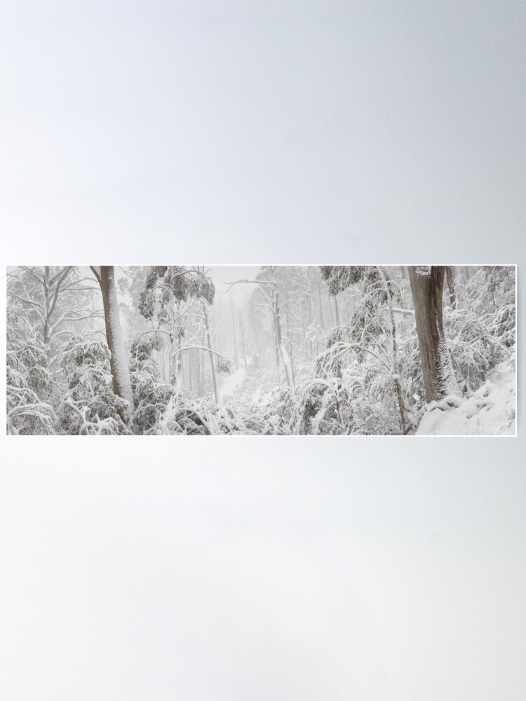 Thumbnail 2 of 3, Poster, Snowy Trees, Alpine National Park, Victoria, Australia designed and sold by Michael Boniwell.