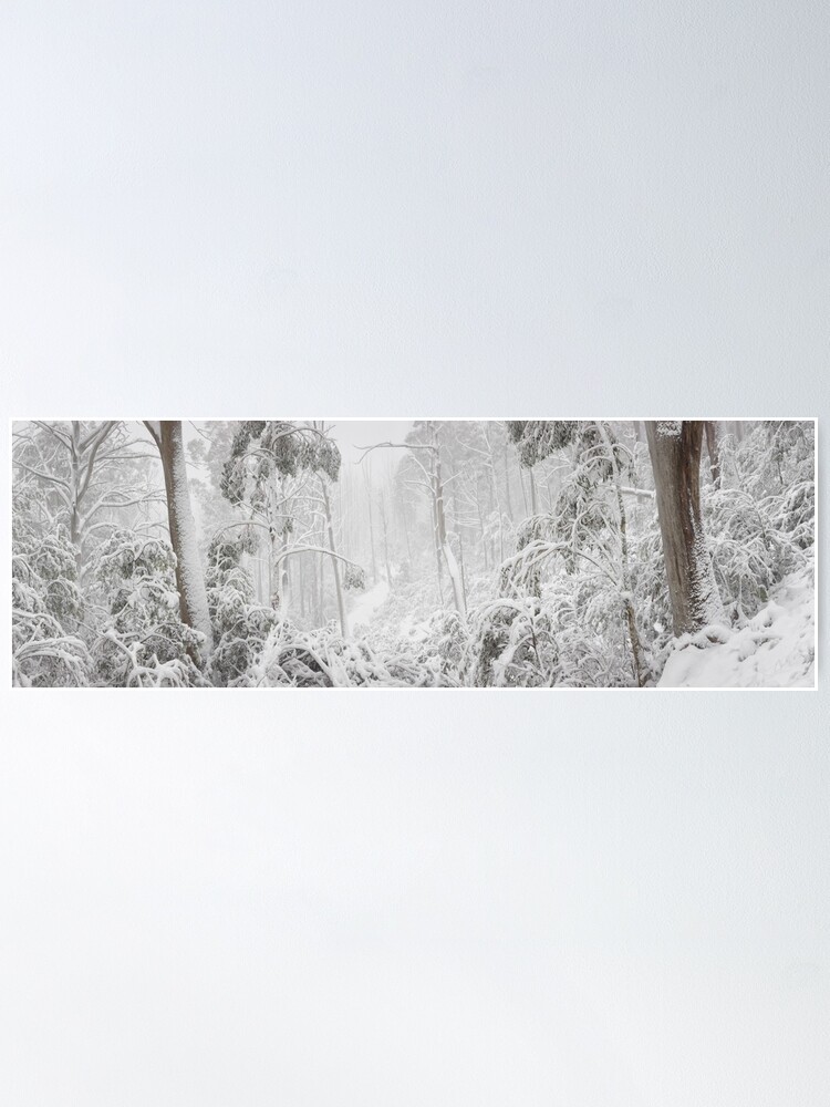 Thumbnail 2 of 3, Poster, Snowy Trees, Alpine National Park, Victoria, Australia designed and sold by Michael Boniwell.