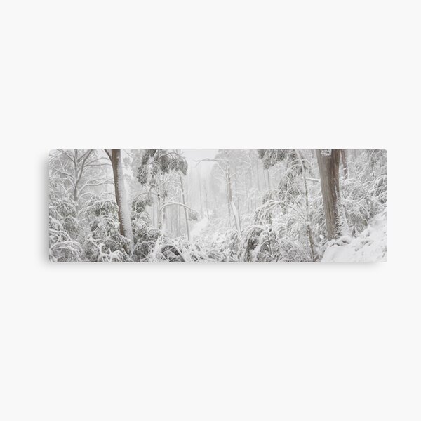 Metal Print