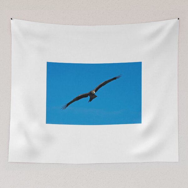 Item preview, Black Kite designed and sold by GP1746.