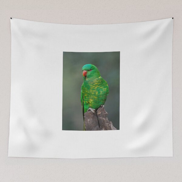 Item preview, Scaly Breasted Lorikeet designed and sold by GP1746.