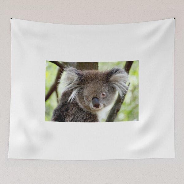 Item preview, Koala Portrait designed and sold by GP1746.