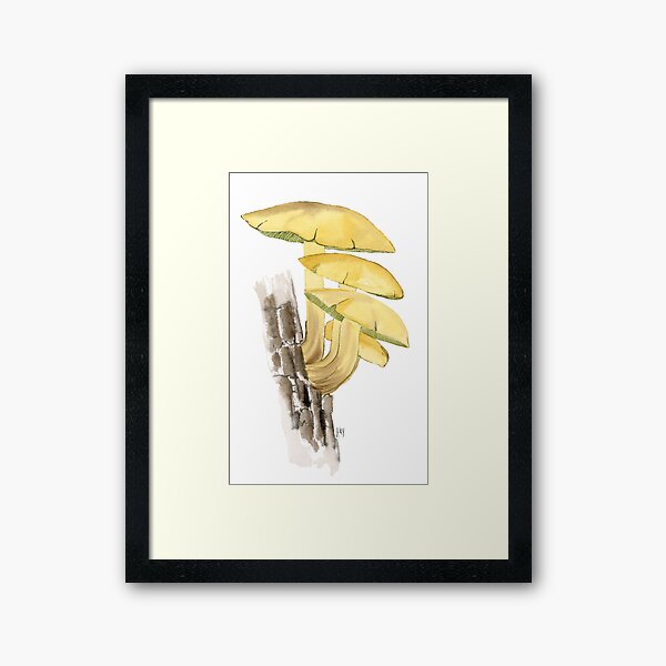 Item preview, Hypholoma fasciculare by Kay Smith designed and sold by BiosecurityColl.