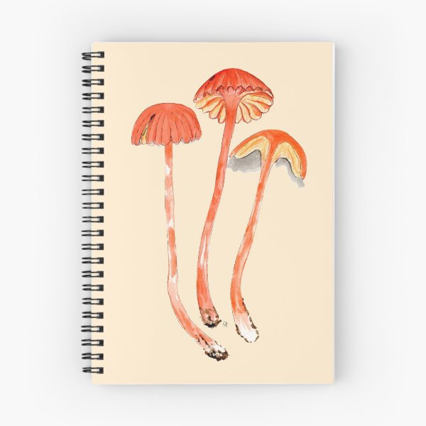 Artikelvorschau, Hygrocybe cantharellus von Kay Smith entworfen und verkauft von BiosecurityColl.