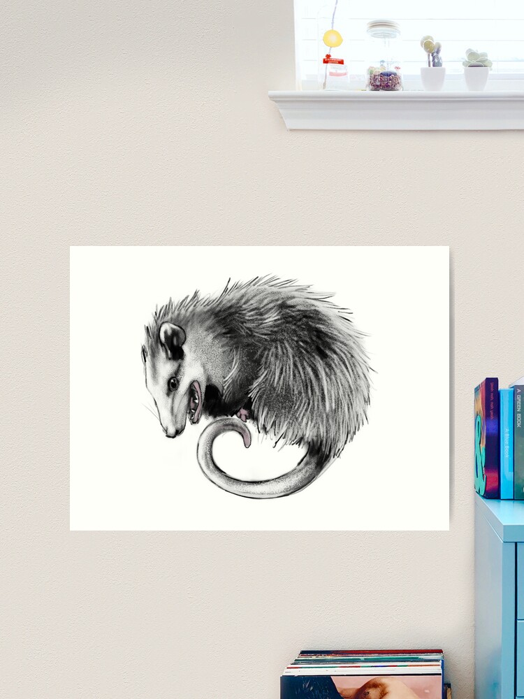 A Passel of Possums, possum love, fun, psychedelic Art Print for