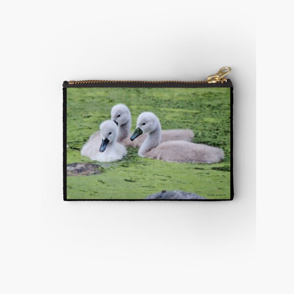 Item preview, Mute Swan Cygnets designed and sold by Gilda Axelrod.