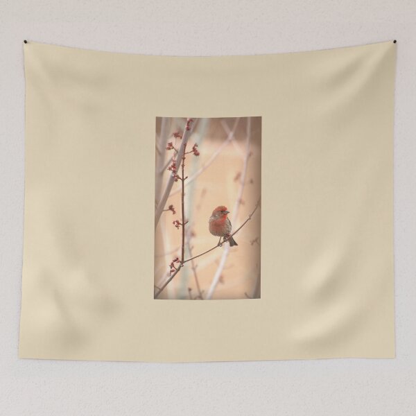 Item preview, Cute Little House Finch designed and sold by K D Graves Photography.