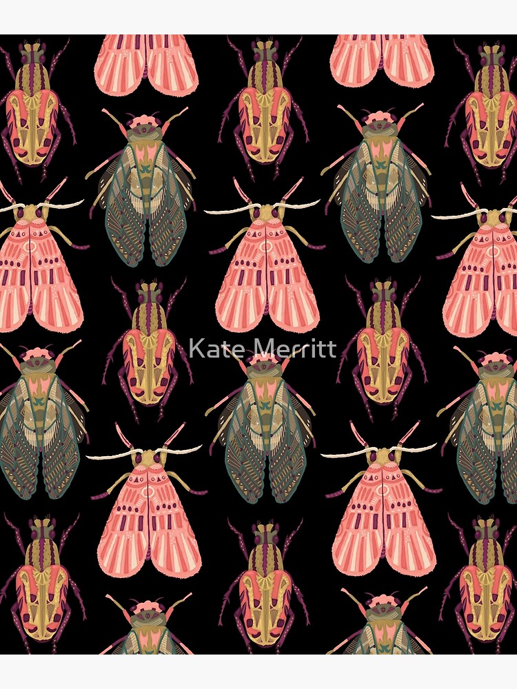 Beautiful Bugs by KateMerrittshop