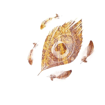 Artwork thumbnail, Rusty Gold Feather Pattern by Julia Design