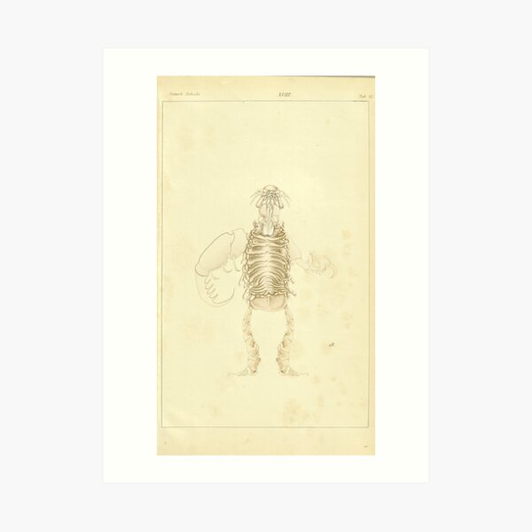 Retro Alien: Crisgtu Art Print