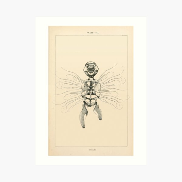 Retro Alien: Sumsum Art Print