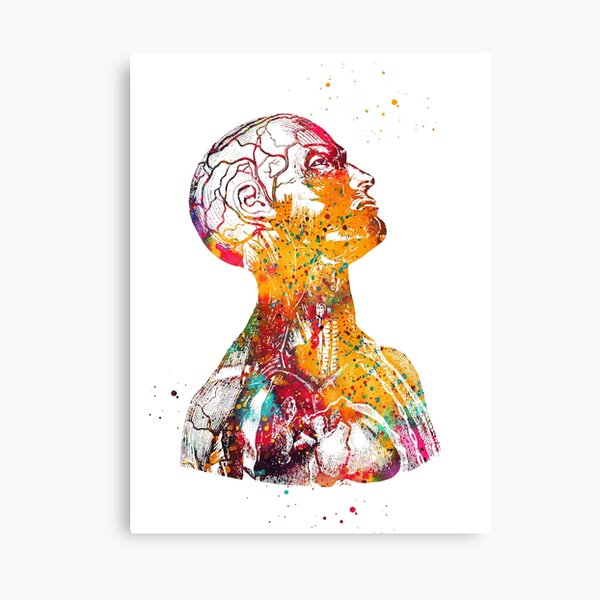 Head And Torso Canvas Print