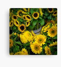 sunlight in a bucket Canvas Print