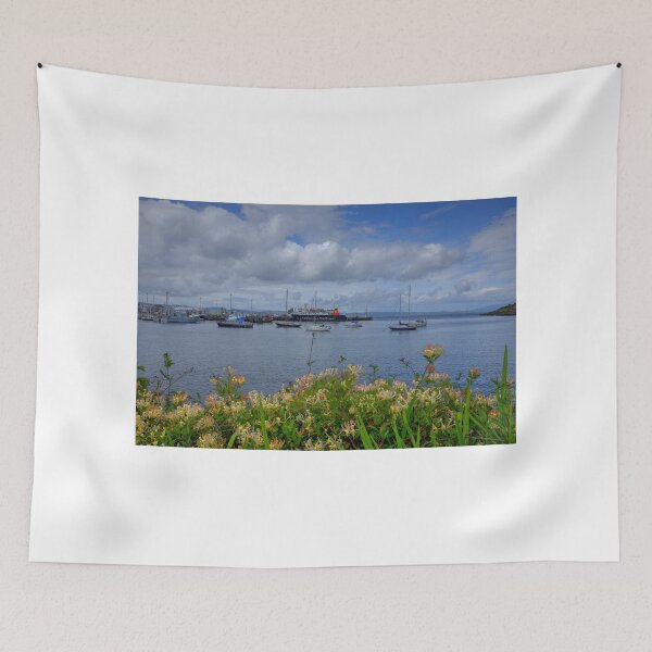 Item preview, Mallaig Marina, North West Scotland designed and sold by AlbaPhotography.