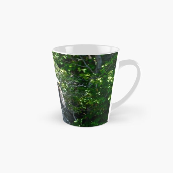 Bald Eagle in Flight Tall Mug
