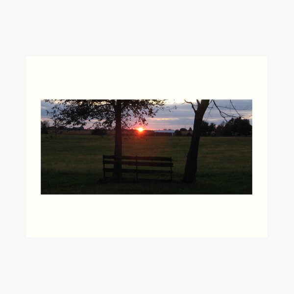 Old Fence Art Print