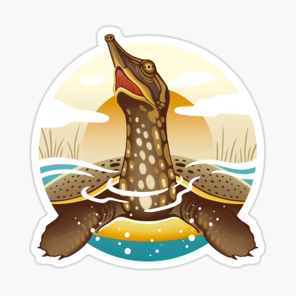 The Circles of Life: Spiny Softshell Turtle Sticker
