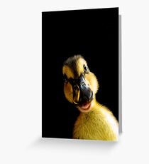 Just Ducky! Greeting Card