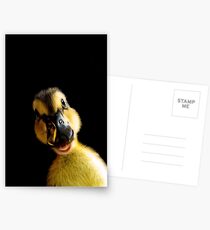 Just Ducky! Postcards