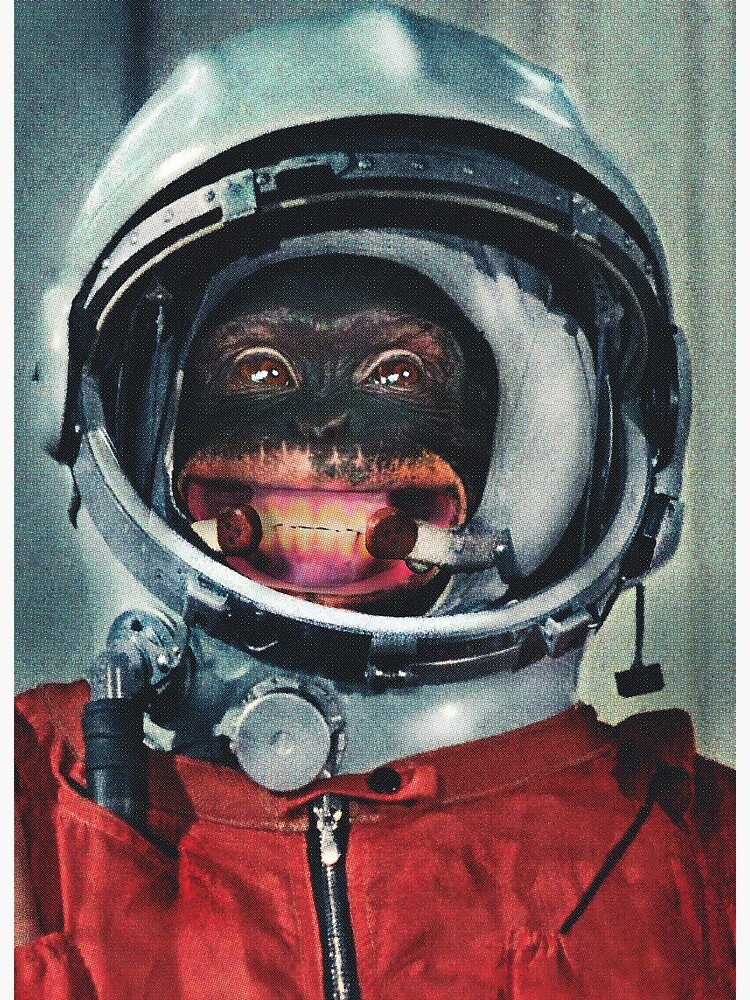 Mono astronauta | Lámina rígida