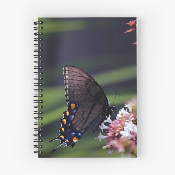 Item preview, Pipevine Swallowtail on Abelia designed and sold by StampCity.