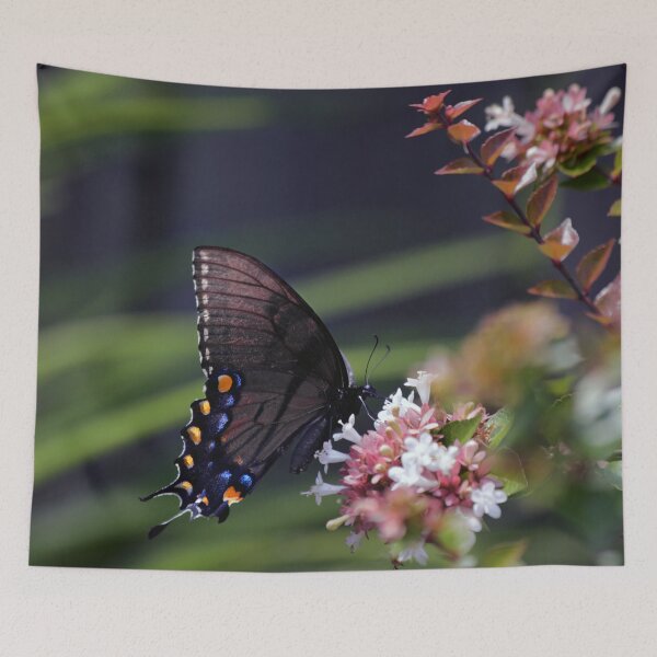 Item preview, Pipevine Swallowtail on Abelia designed and sold by StampCity.