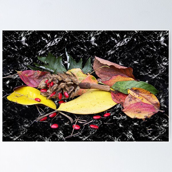 Item preview, Fall Colors designed and sold by DwCCreations.