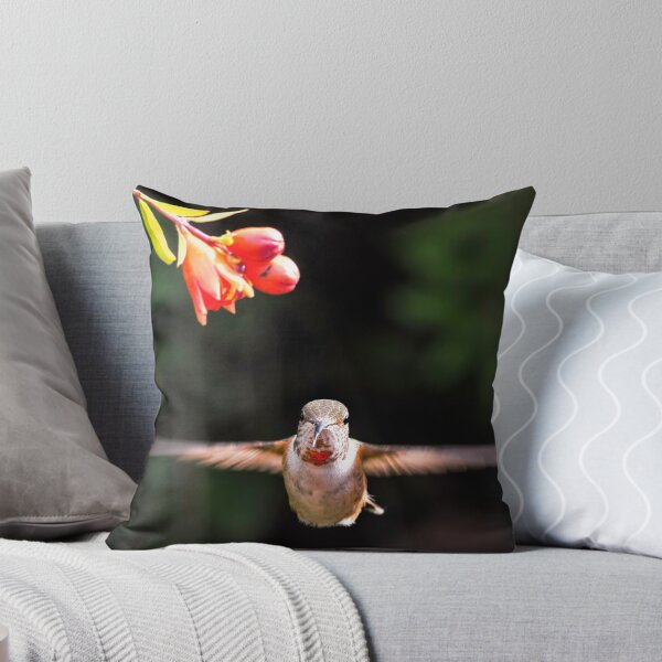 Item preview, Early Morning Portrait designed and sold by MCHerdering Photography.