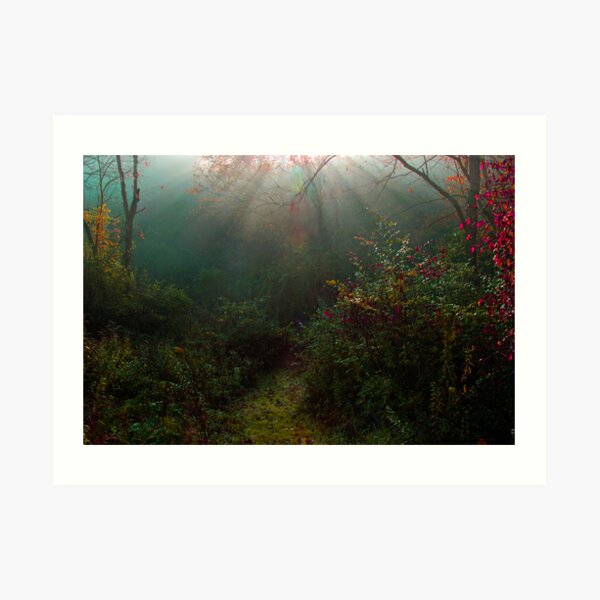 a beckoning Art Print