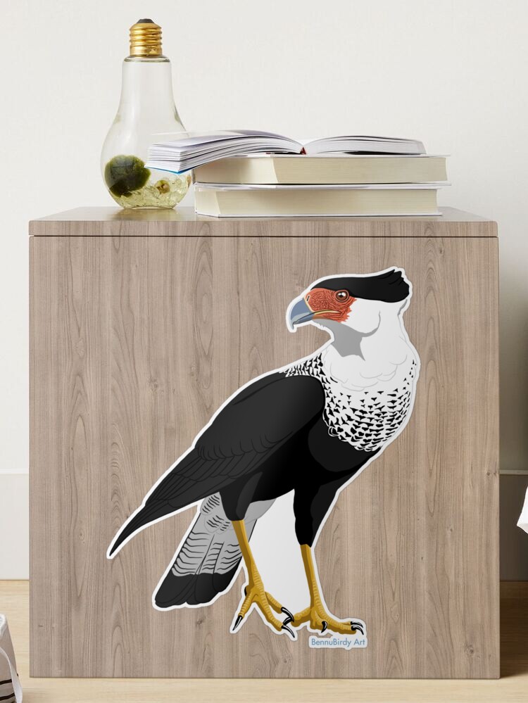 Crested Caracara Bird Sticker - Large Waterproof Vinyl Decal For Cars & Laptops