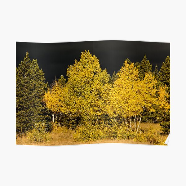 Colorado Storm Clouds Surround Gold Poster