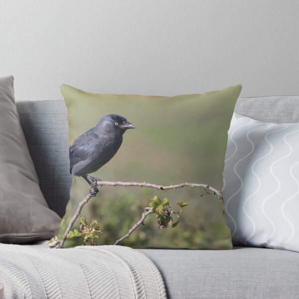 Item preview, Grajo designed and sold by LaurenTucker.