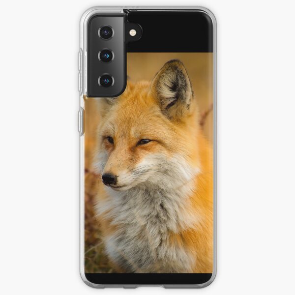 Fox Animal Wildlife Red Foxes Closeup Nature Samsung Galaxy Soft Case