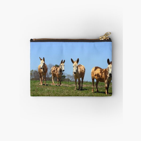 Item preview, Four Donkeys in a Texas Pasture designed and sold by Catherine Sherman.