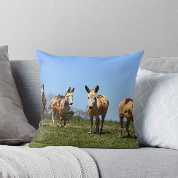 Item preview, Four Donkeys in a Texas Pasture designed and sold by Catherine Sherman.