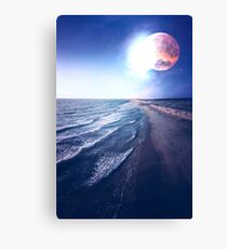 Tidal Canvas Print