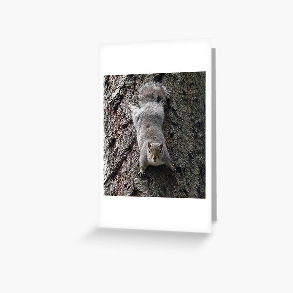 Talking Back Greeting Card