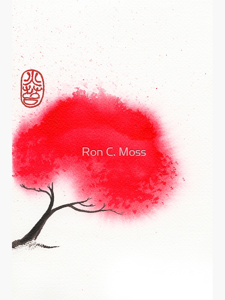 Flame Tree by ronmoss