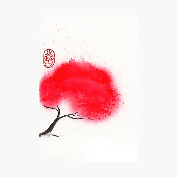 Flame Tree Photographic Print