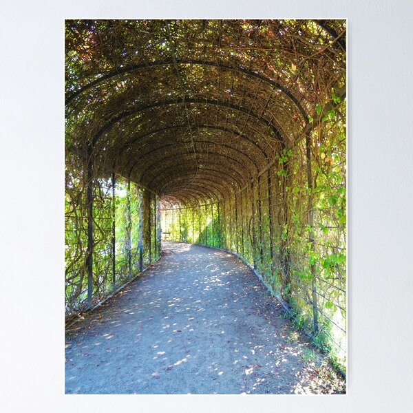 Item preview, secret tunnel designed and sold by CP-photography.